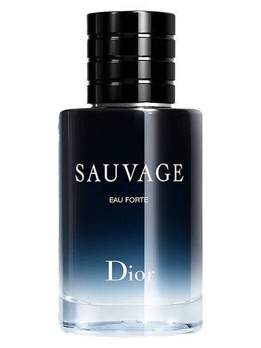 CHRISTIAN DIOR SAUVAGE EAU FORTE 100ML EDP PREMIUM CHRISTIAN DIOR SAUVAGE EAU FORTE 100ML EDP PREMIUM